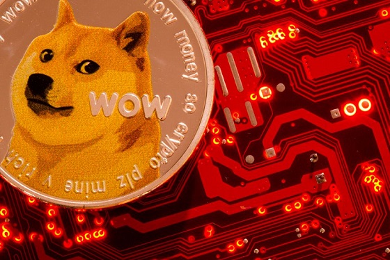 Elon’s Twitter Acquisition Has Pumped DOGE by 40+% This Week