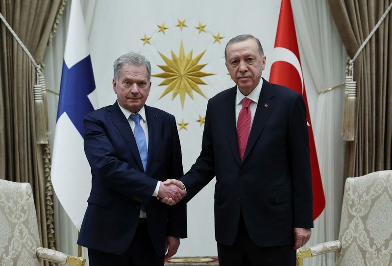 Turkey's Erdogan endorses Finland's NATO bid, but Sweden must wait