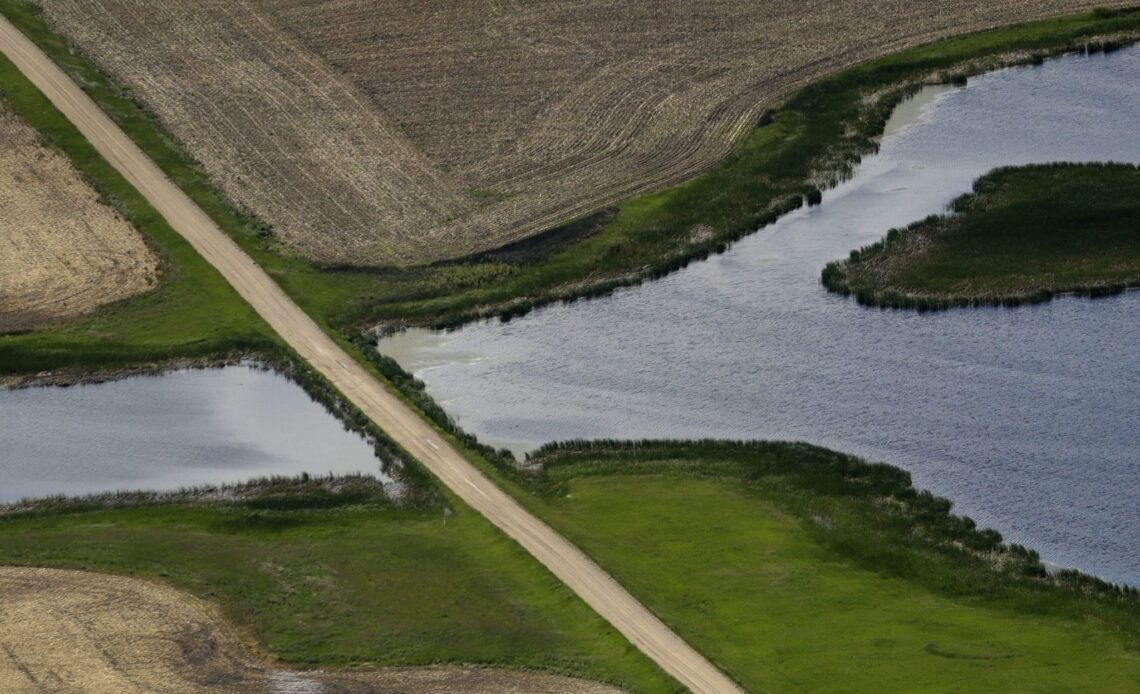 Supreme Court curbs U.S. government wetlands regulation