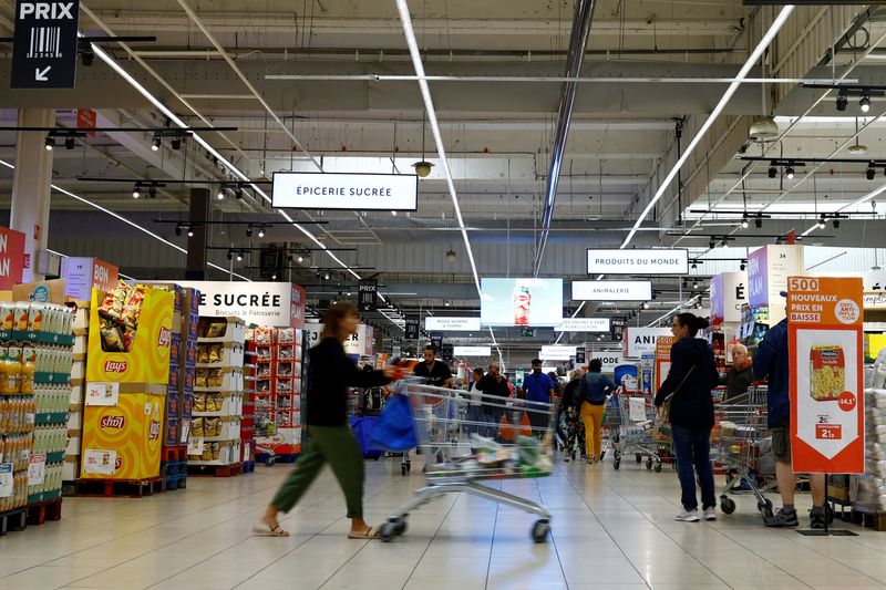 Euro zone Aug inflation revised slightly down