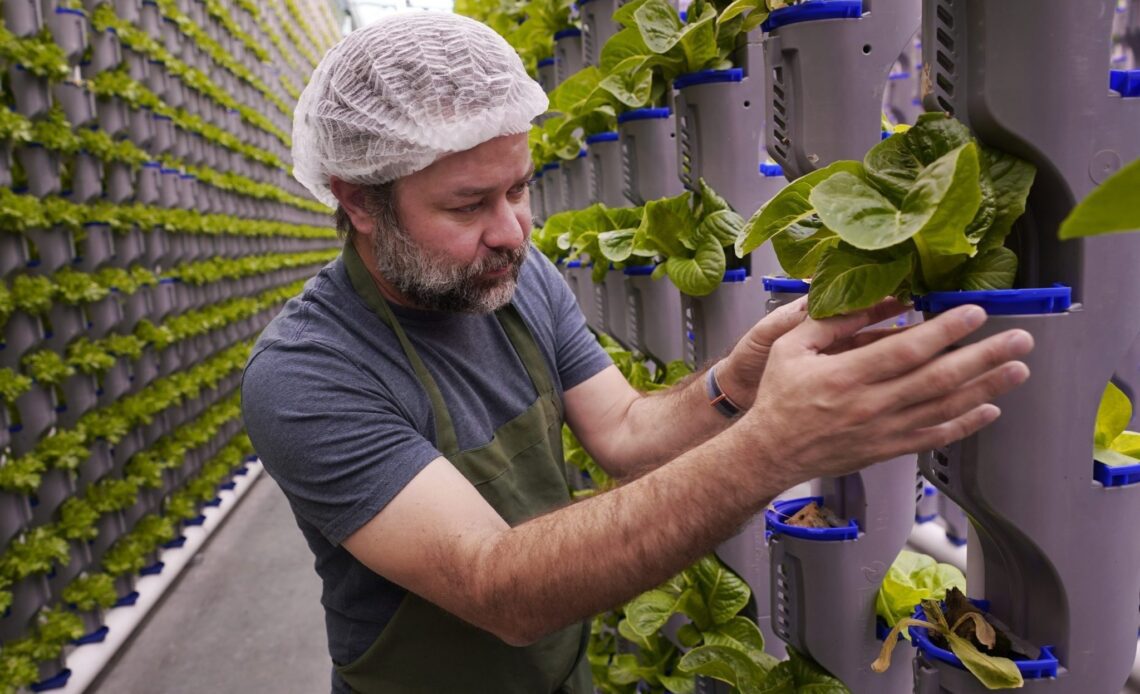 Indoor farming startups with hundreds of millions file bankruptcy