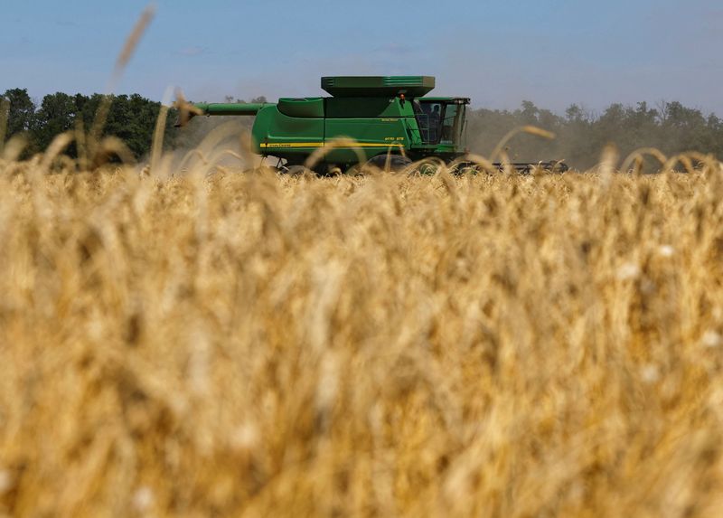 Ukraine on track to export all 2023 grain, says Britain