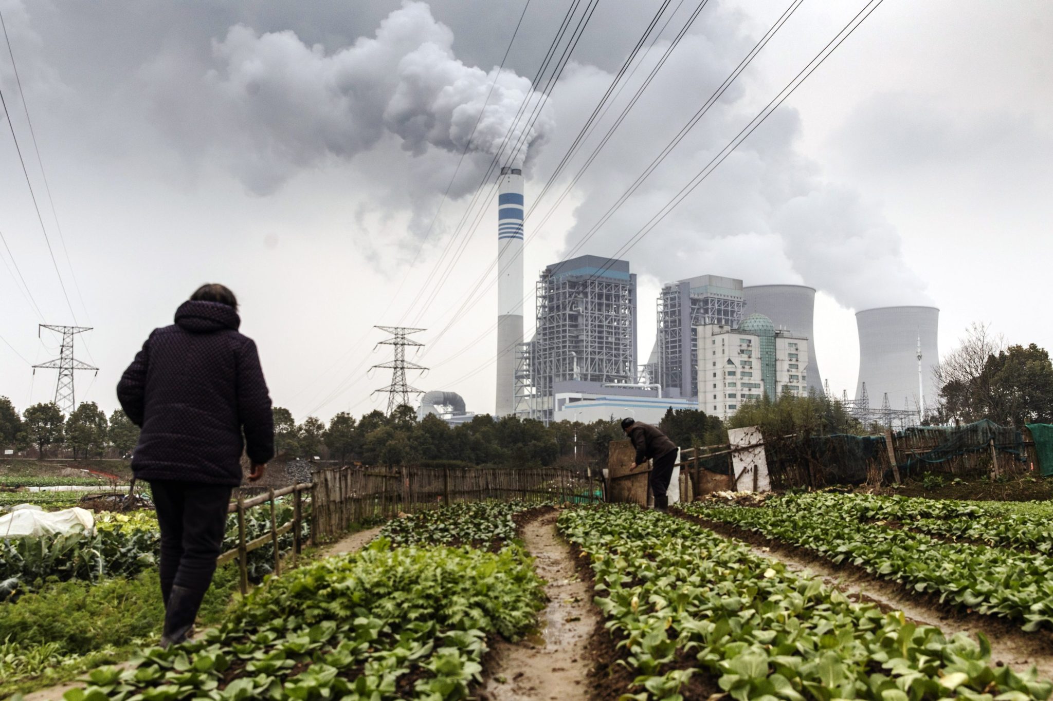 COP29 reveals world’s most polluting states and provinces are all in China