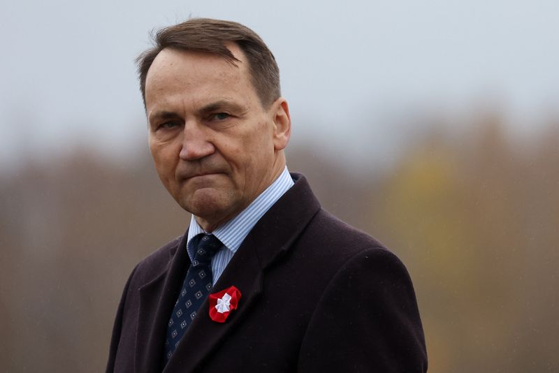 © Reuters. FILE PHOTO: Poland's Foreign Minister Radoslaw Sikorski speaks during the inauguration of the American ballistic missile defence base to be integrated into the