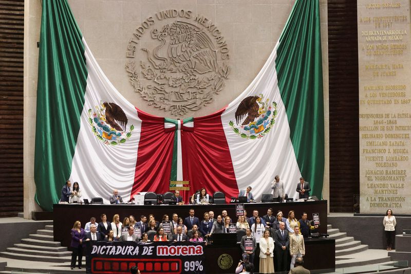 © Reuters. Noemi Berenice Luna Ayala, from the opposition PAN party, speaks as Congress members hold signs during a debate on the constitutional reform through which Morena ruling party and allies aim to dissolve several independent authorities, at the congress in Mexico City, Mexico November 20, 2024, REUTERS/Luis Cortes